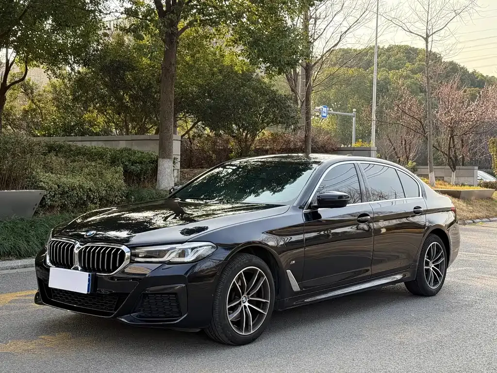 BMW 5 Series — фото 1