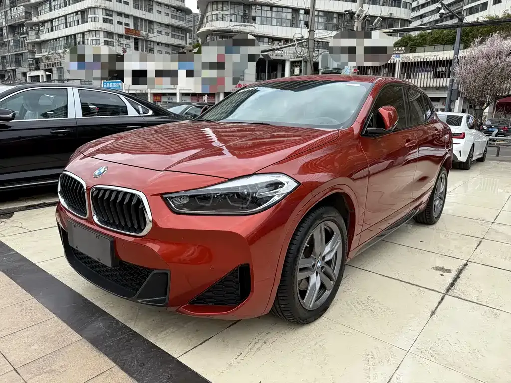 BMW X2 — фото 1