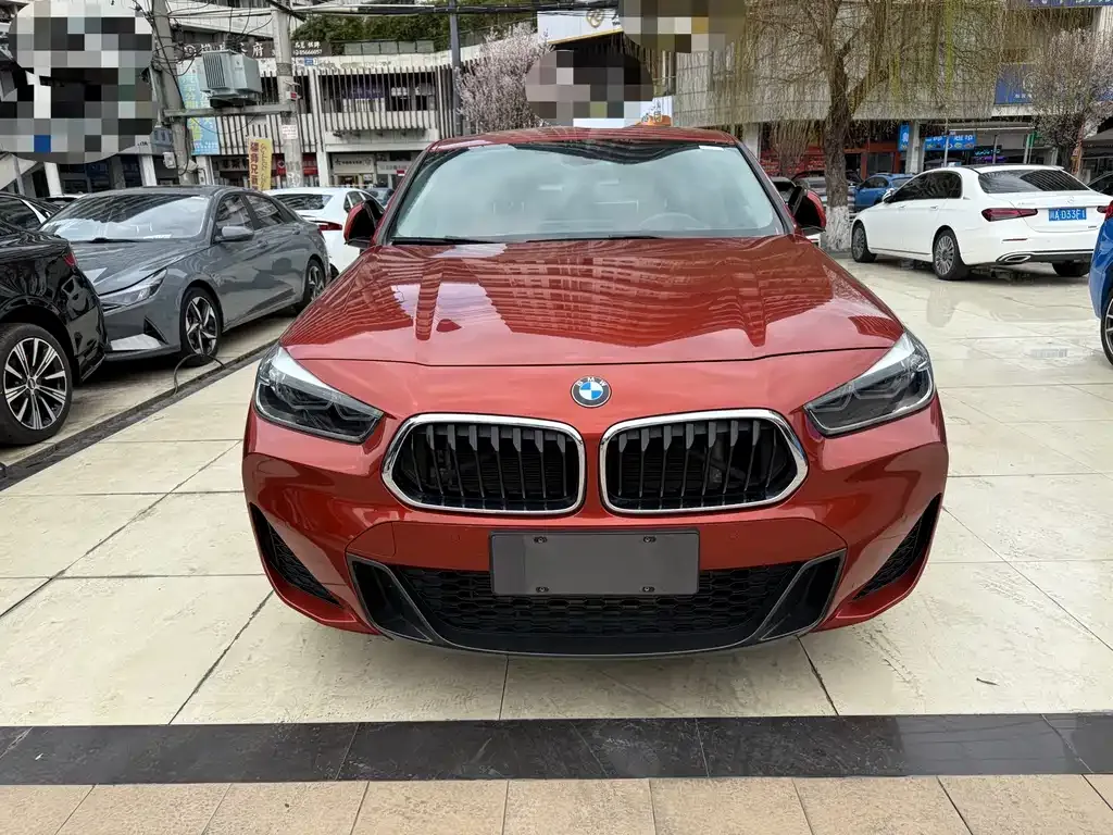 BMW X2 — фото 2