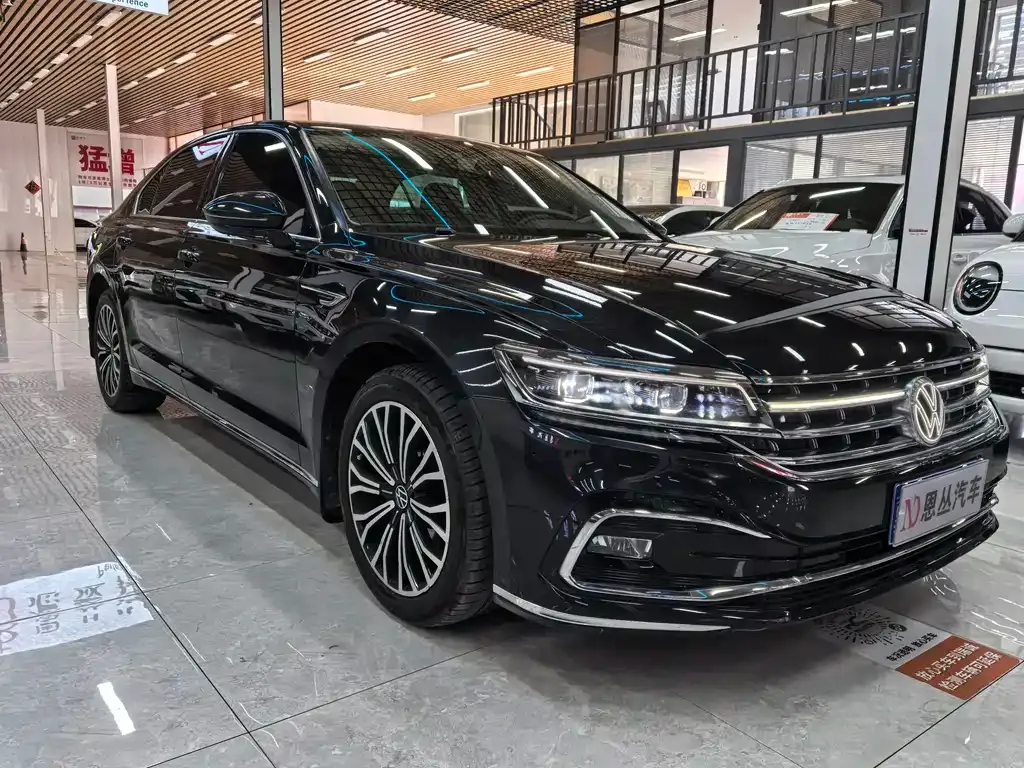 Volkswagen Phideon — фото 8