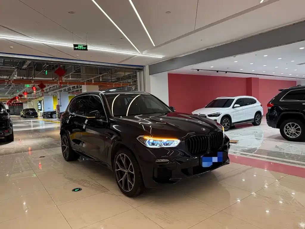 BMW X5 (Import) — фото 5