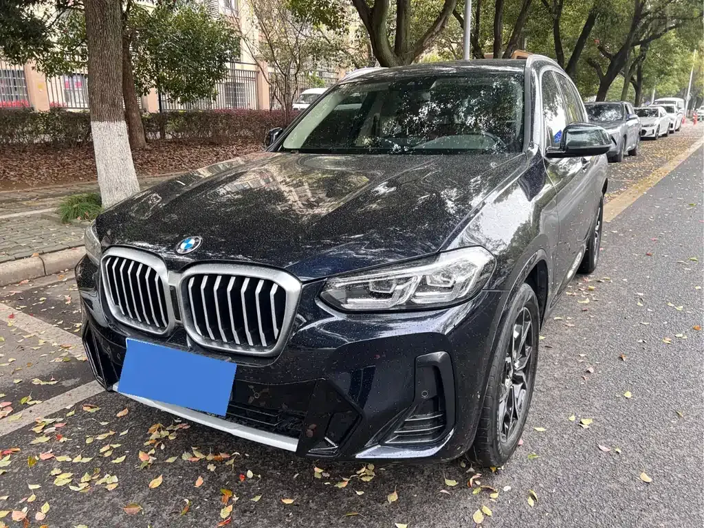 BMW X3 — фото 1