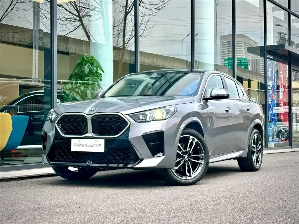 BMW X2 (Import) — фото 1