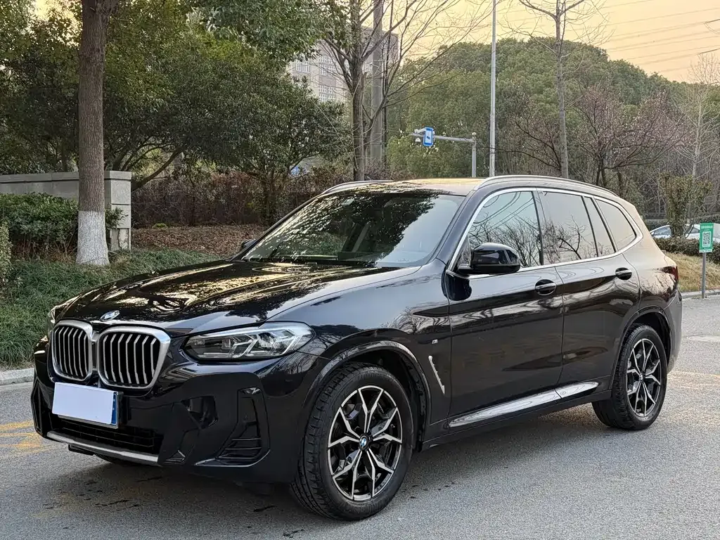 BMW X3 — фото 1