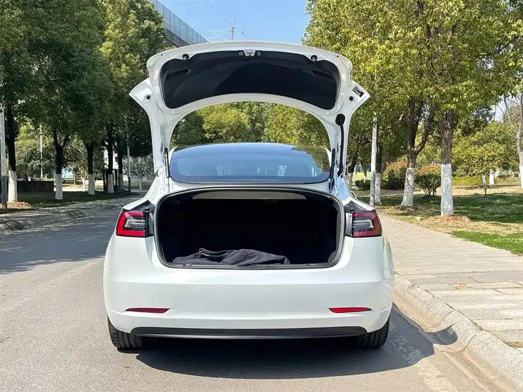 Tesla Model 3 — фото 6
