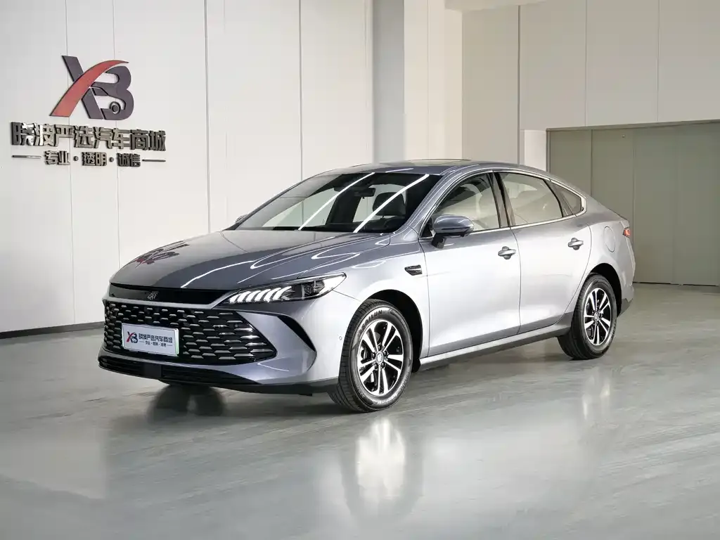 BYD Qin PLUS — фото 1