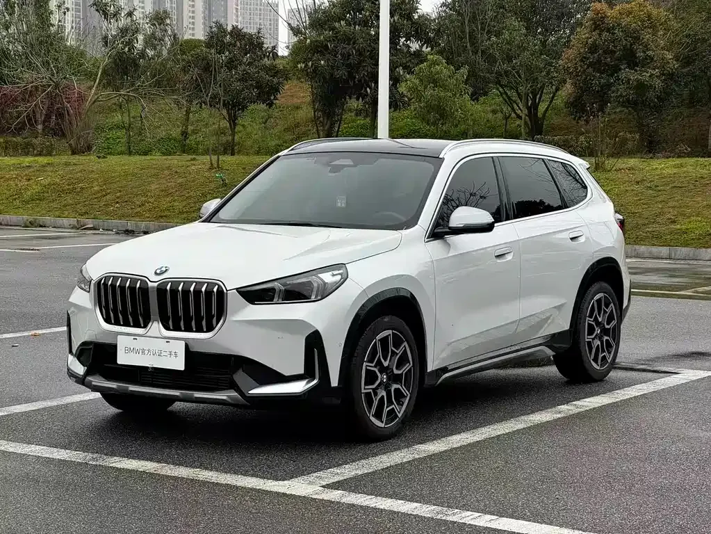 BMW X1 — фото 1