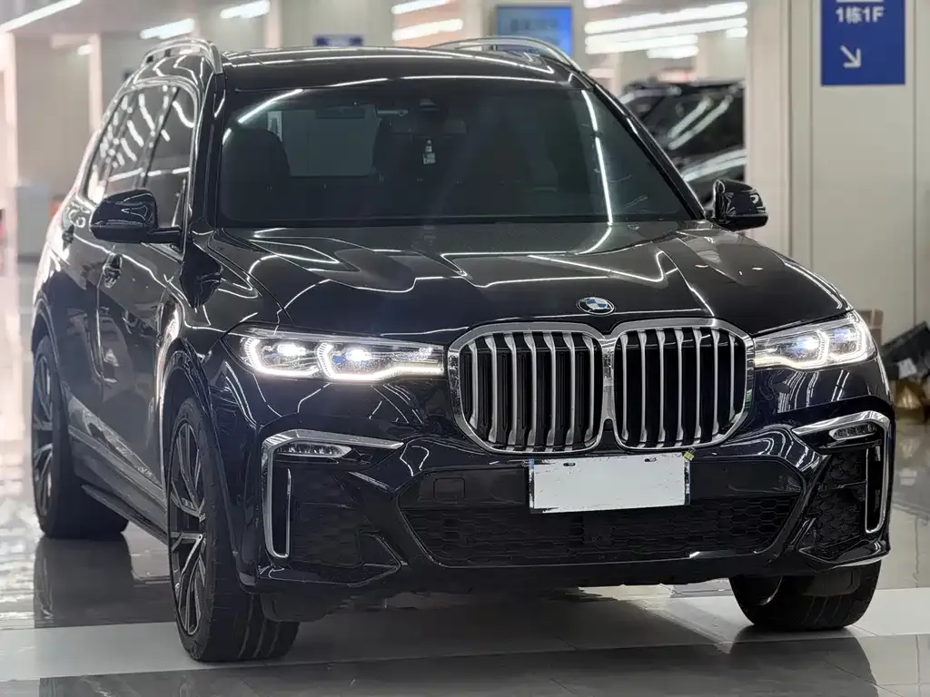 BMW X7 — фото 9