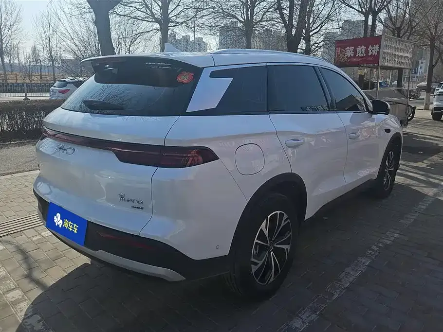 BYD Pro New Energy — фото 4