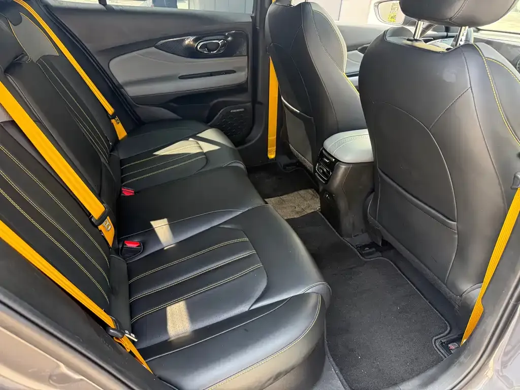 GAC Motor Shadow Leopard — фото 7