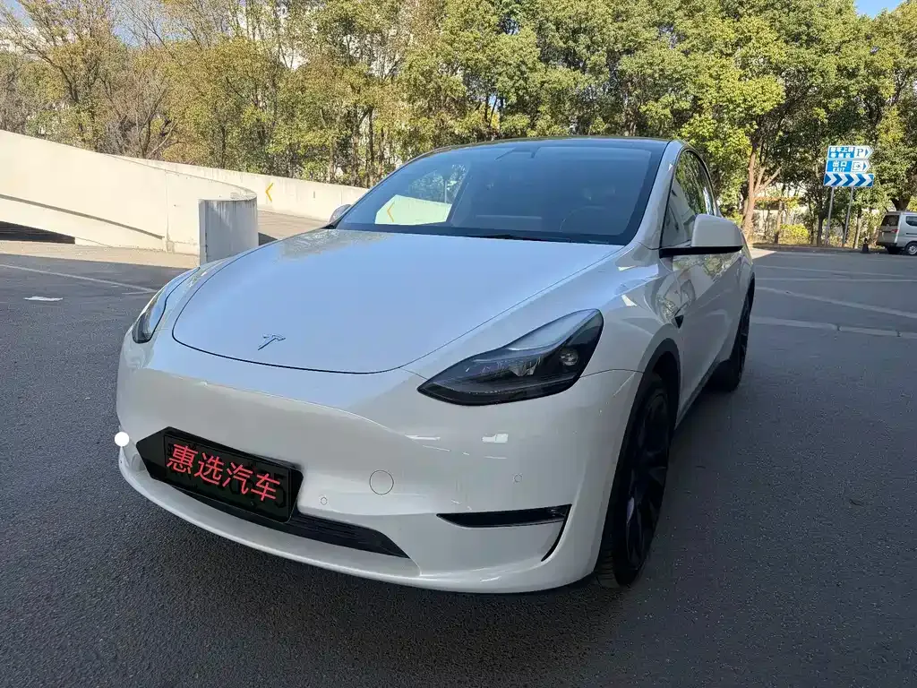 Tesla Model Y — фото 1