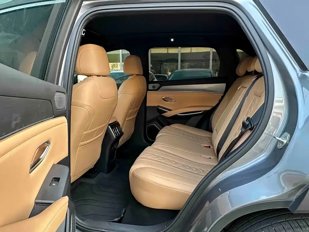 BYD L DM-i — фото 8