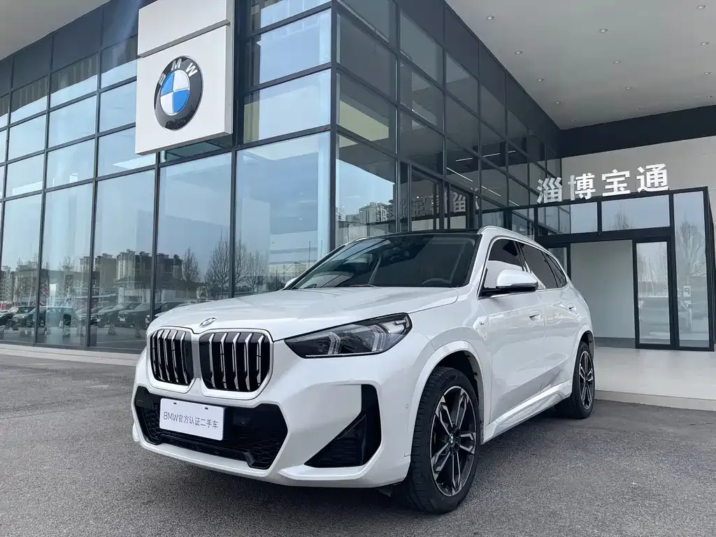 BMW X1 — фото 10
