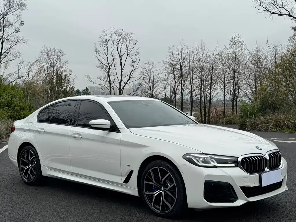 BMW 5 Series (Import) — фото 7