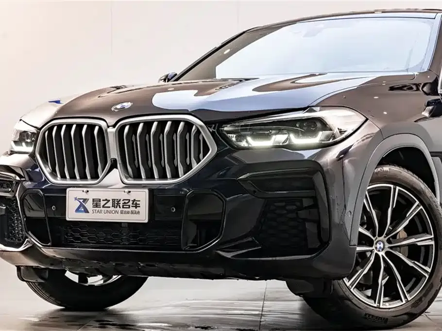 BMW X6 — фото 6