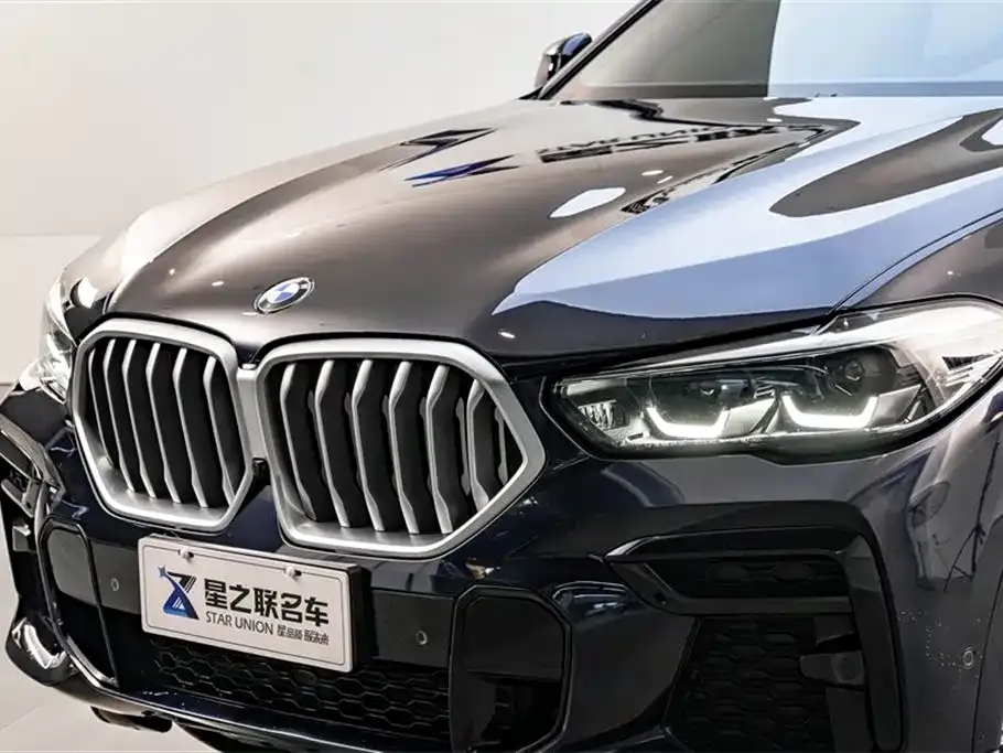 BMW X6 — фото 5
