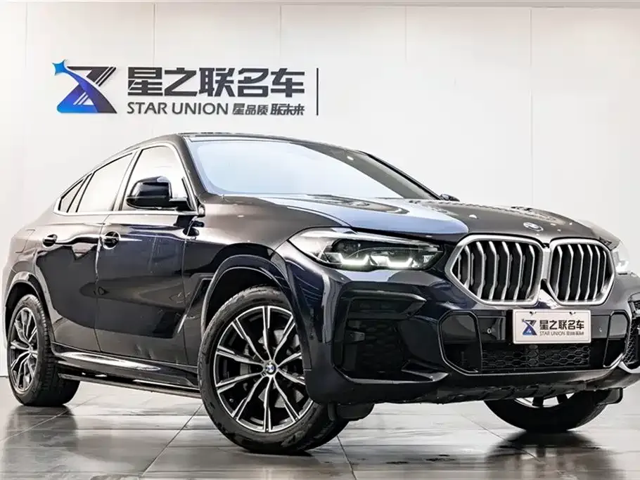 BMW X6 — фото 8
