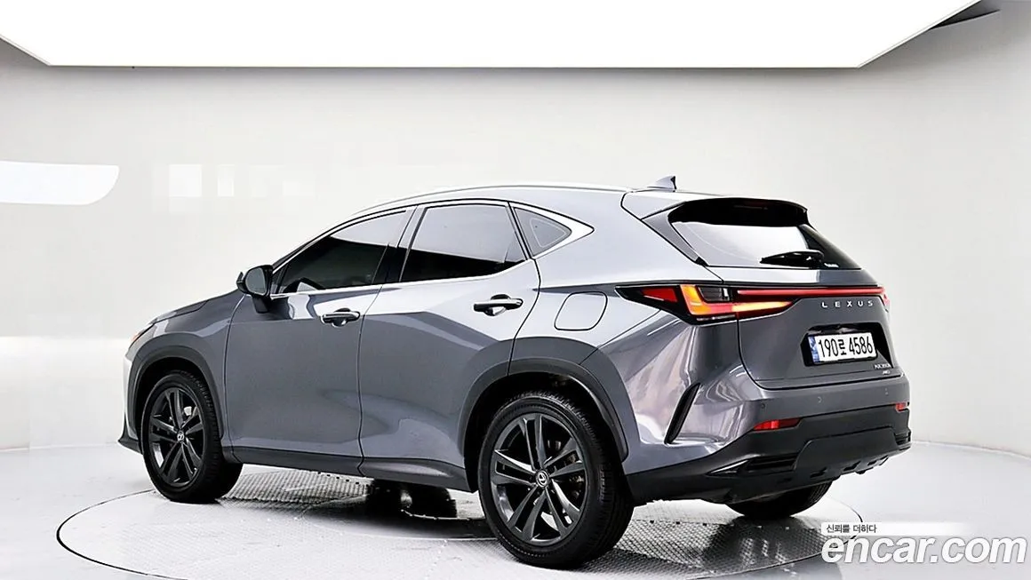Lexus NX — фото 7