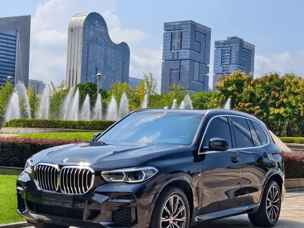 BMW X5 — фото 1