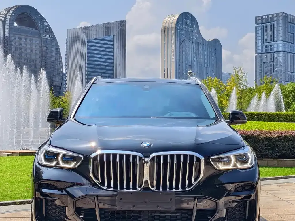 BMW X5 — фото 9