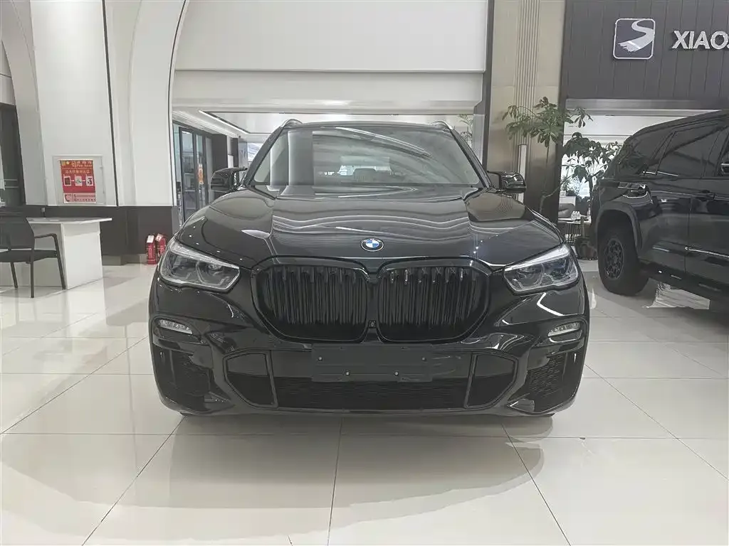 BMW X5 (Import) — фото 8