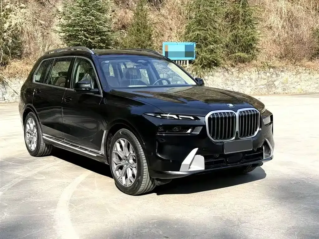 BMW X7 — фото 4