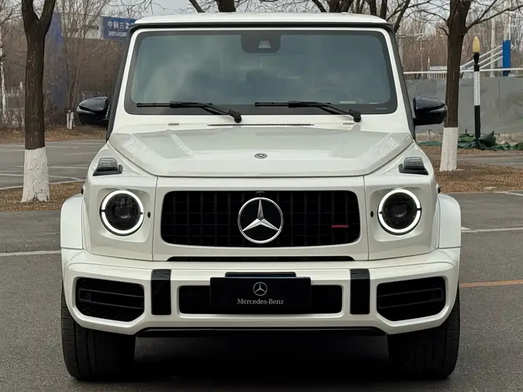 Mercedes-Benz G-Class AMG — фото 1