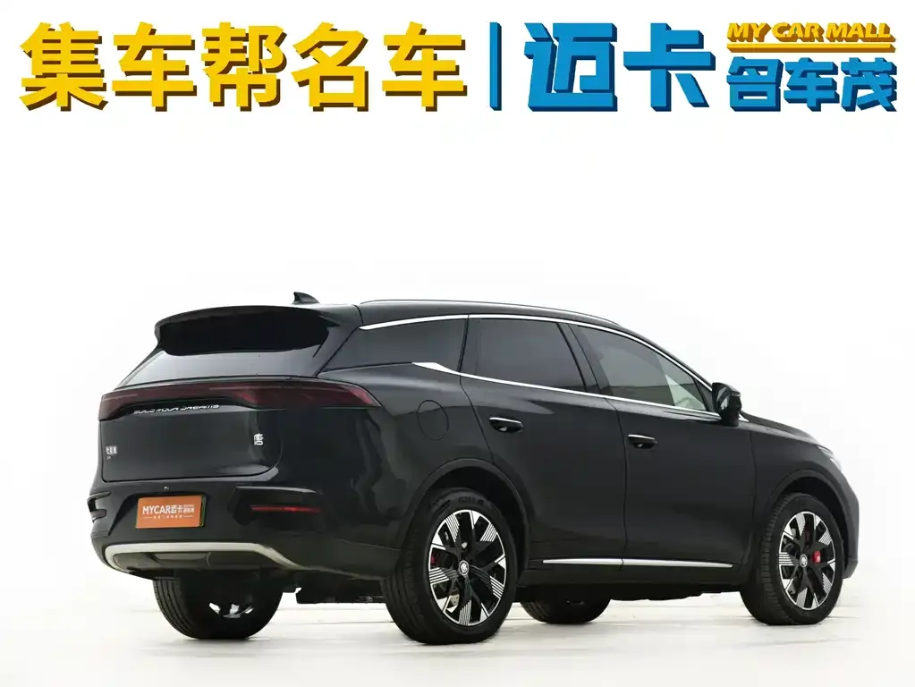 BYD Tang New Energy — фото 5