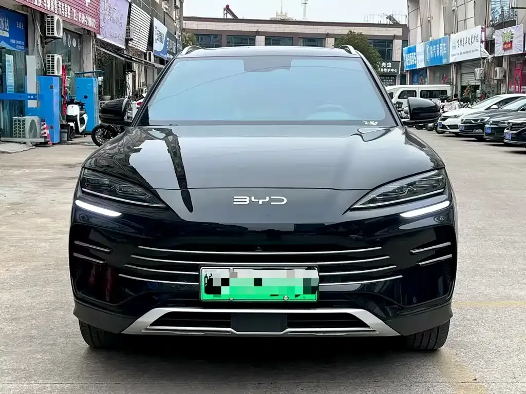 BYD PLUS New Energy — фото 7