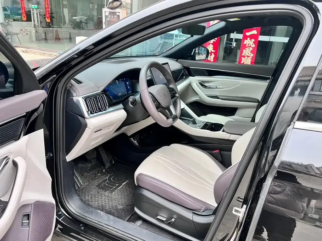 BYD PLUS New Energy — фото 6
