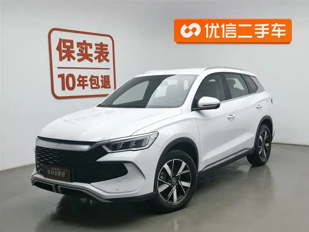 BYD Pro New Energy — фото 1