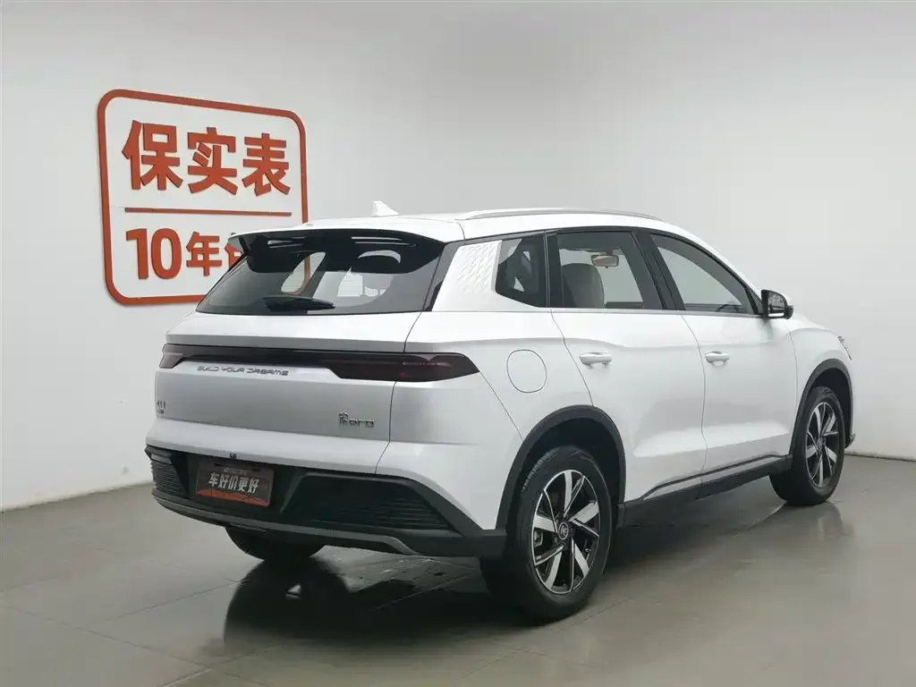 BYD Pro New Energy — фото 3