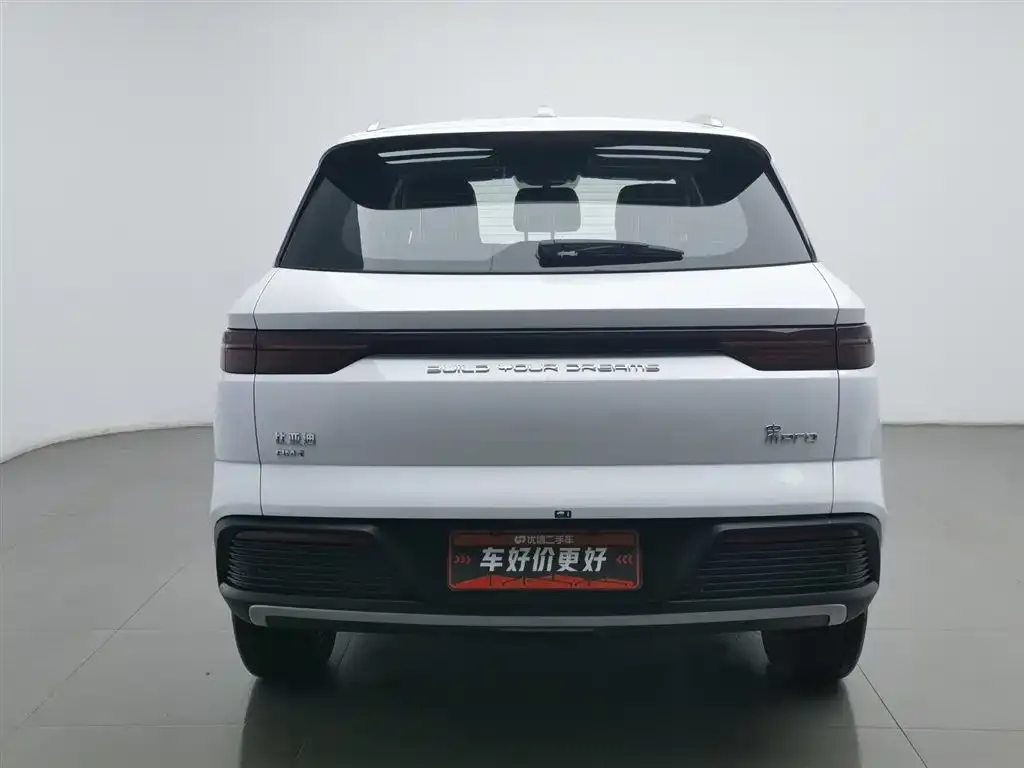 BYD Pro New Energy — фото 4