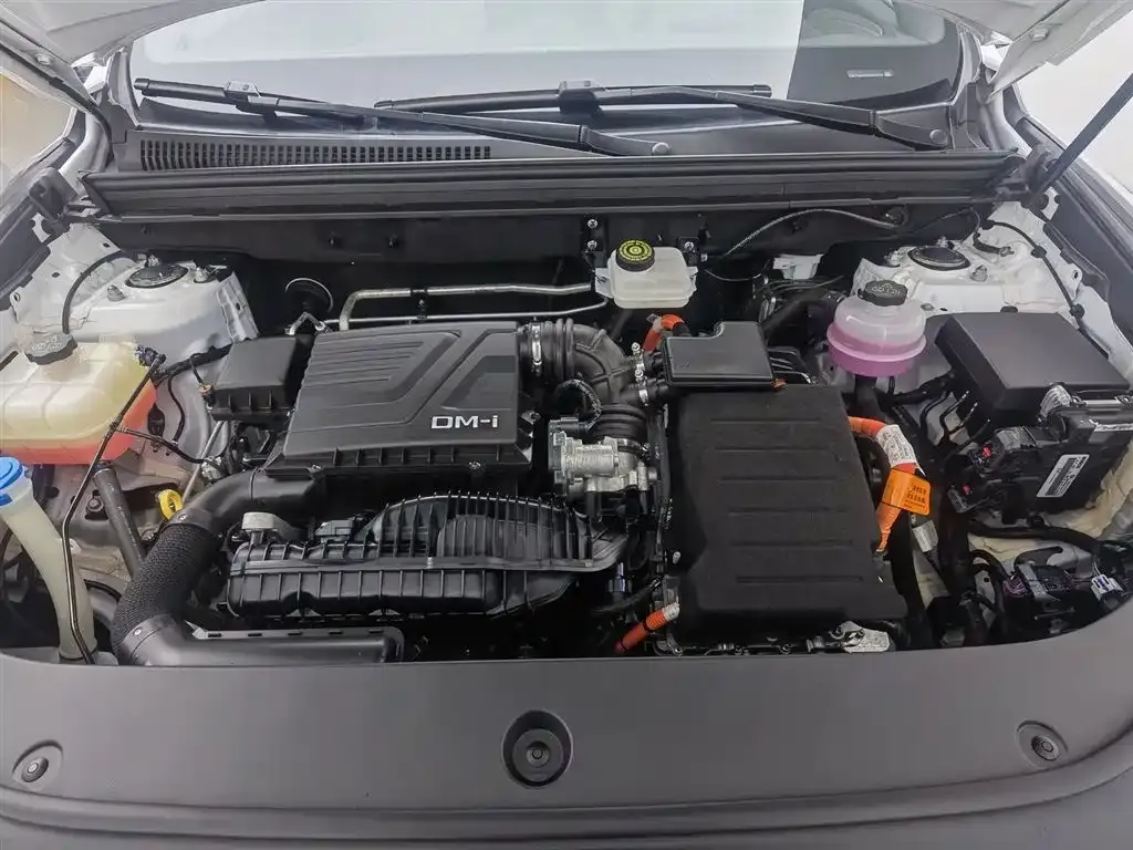 BYD Pro New Energy — фото 10