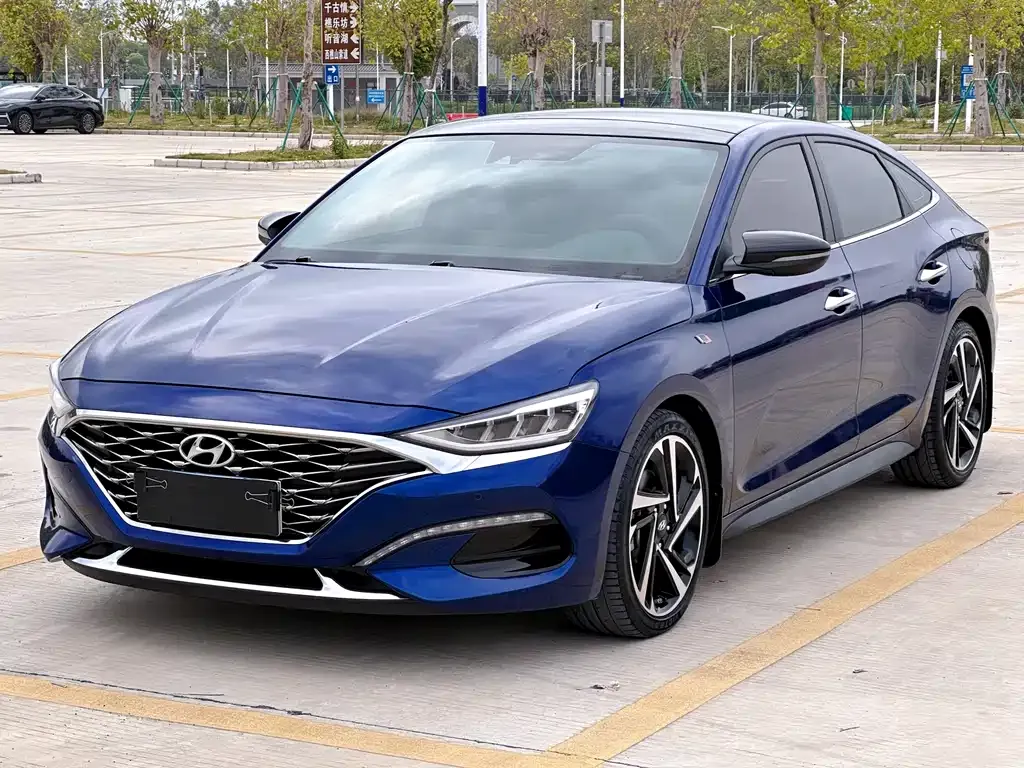 Hyundai Fista — фото 1
