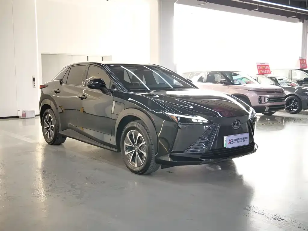 Lexus RZ — фото 6