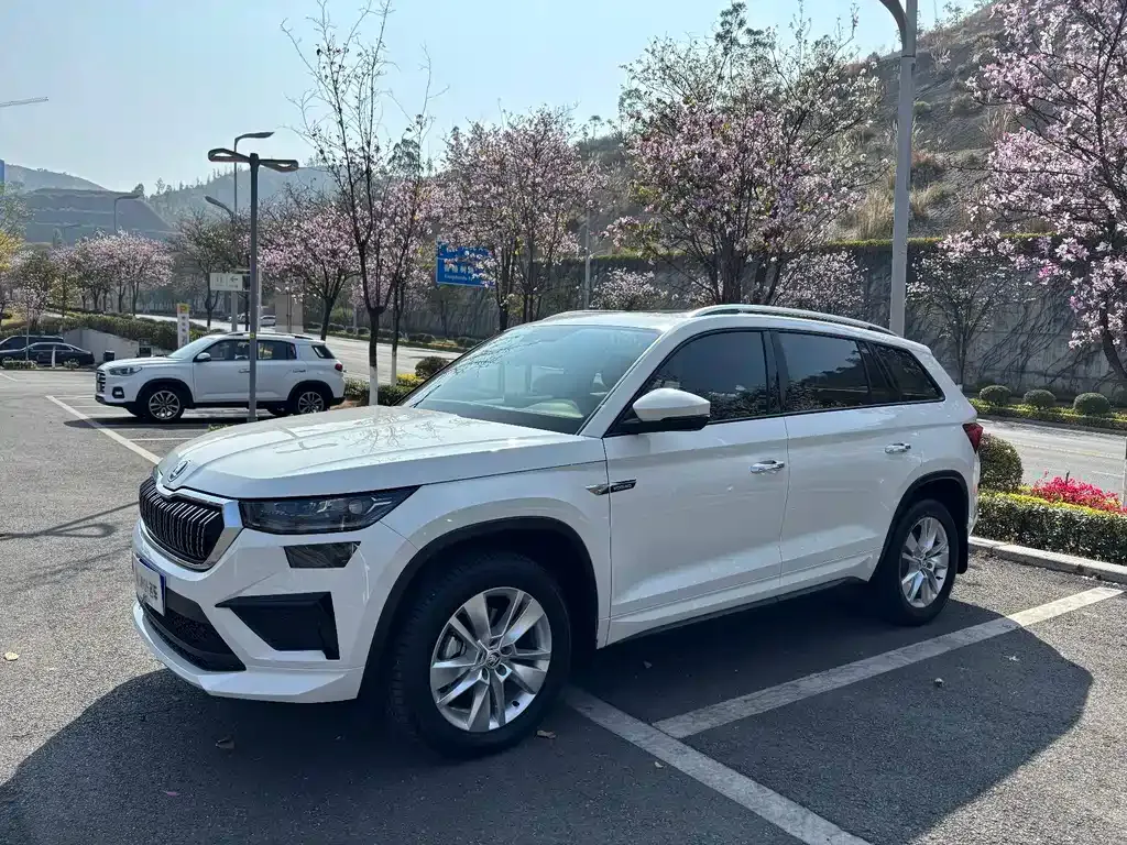 Skoda Kodiaq — фото 1