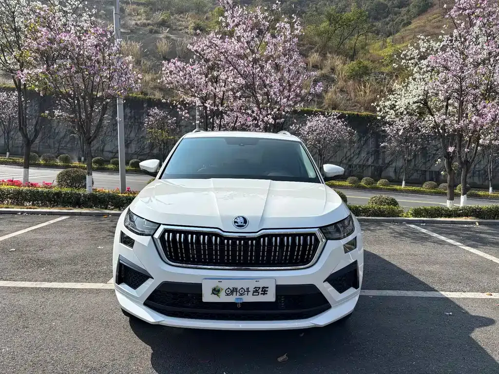 Skoda Kodiaq — фото 5
