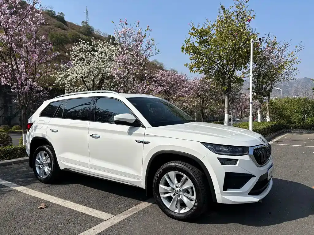 Skoda Kodiaq — фото 10