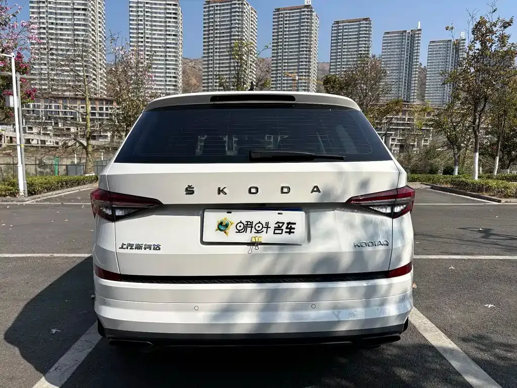 Skoda Kodiaq — фото 9