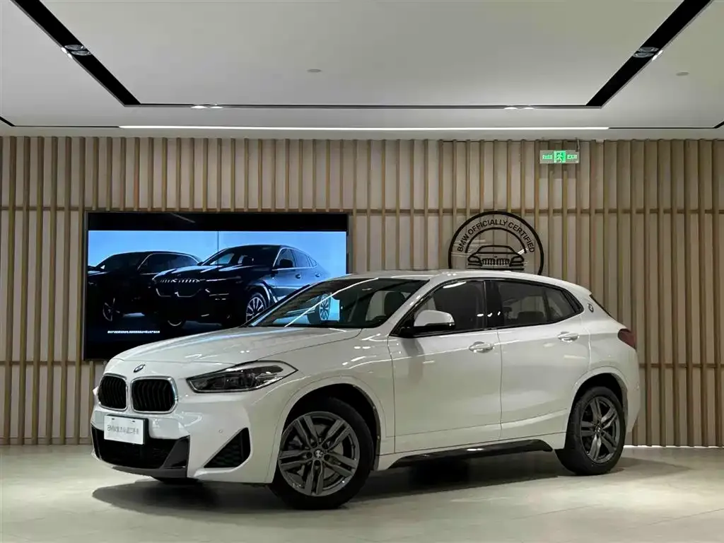 BMW X2 — фото 1