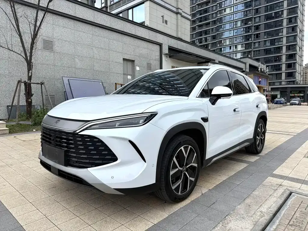 BYD L DM-i — фото 1