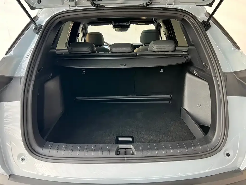 BYD L DM-i — фото 2