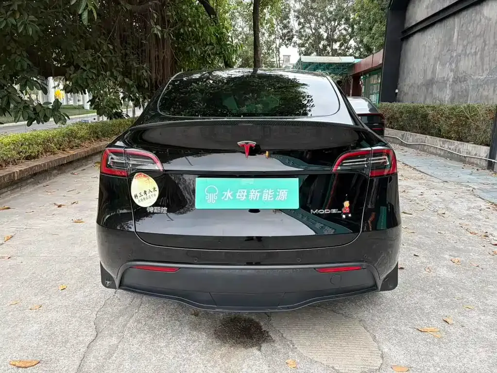 Tesla Model Y — фото 9