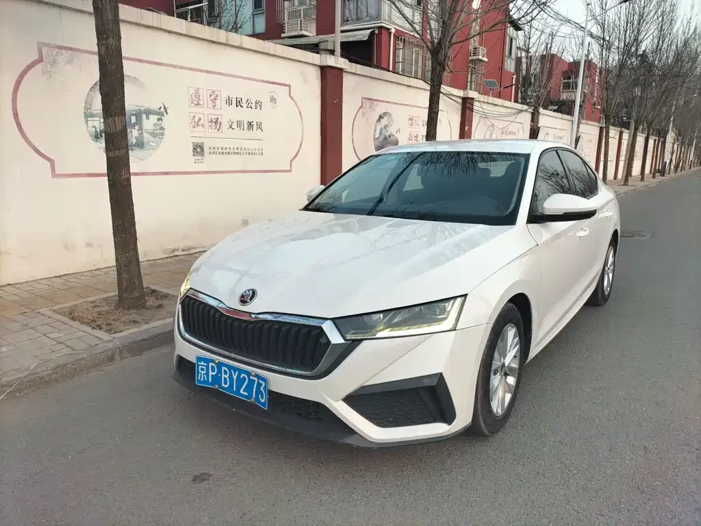 Skoda Octavia — фото 1