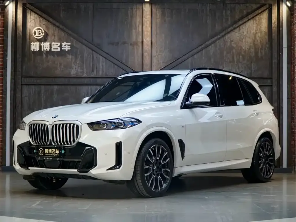 BMW X5 — фото 1
