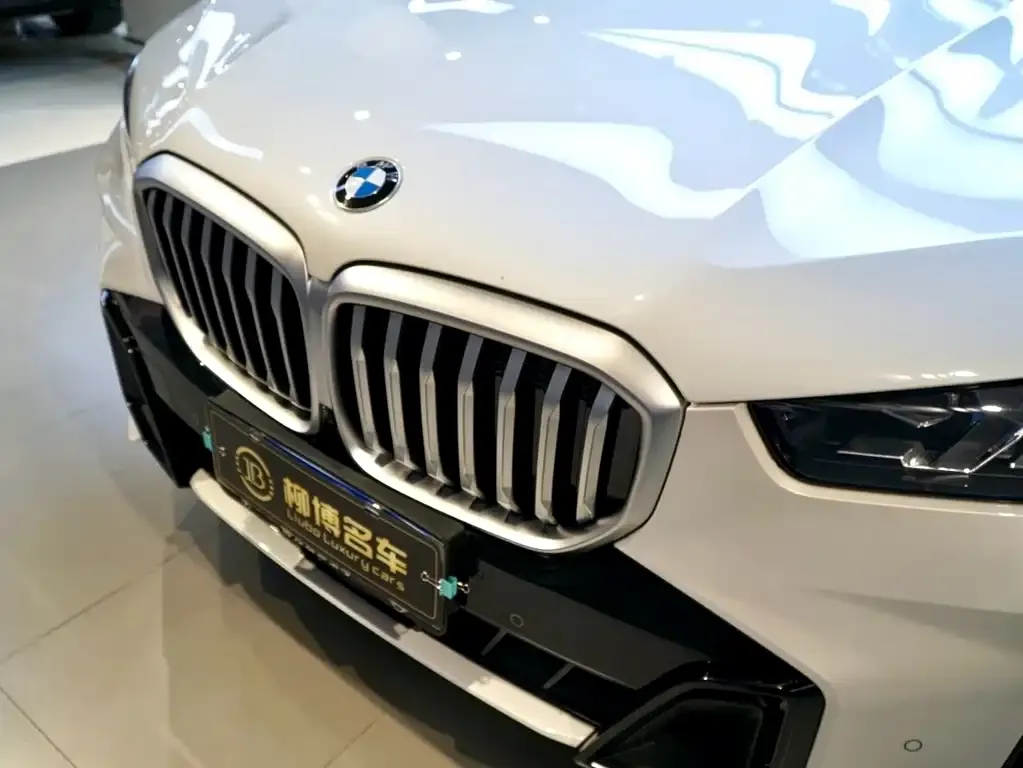 BMW X5 — фото 4