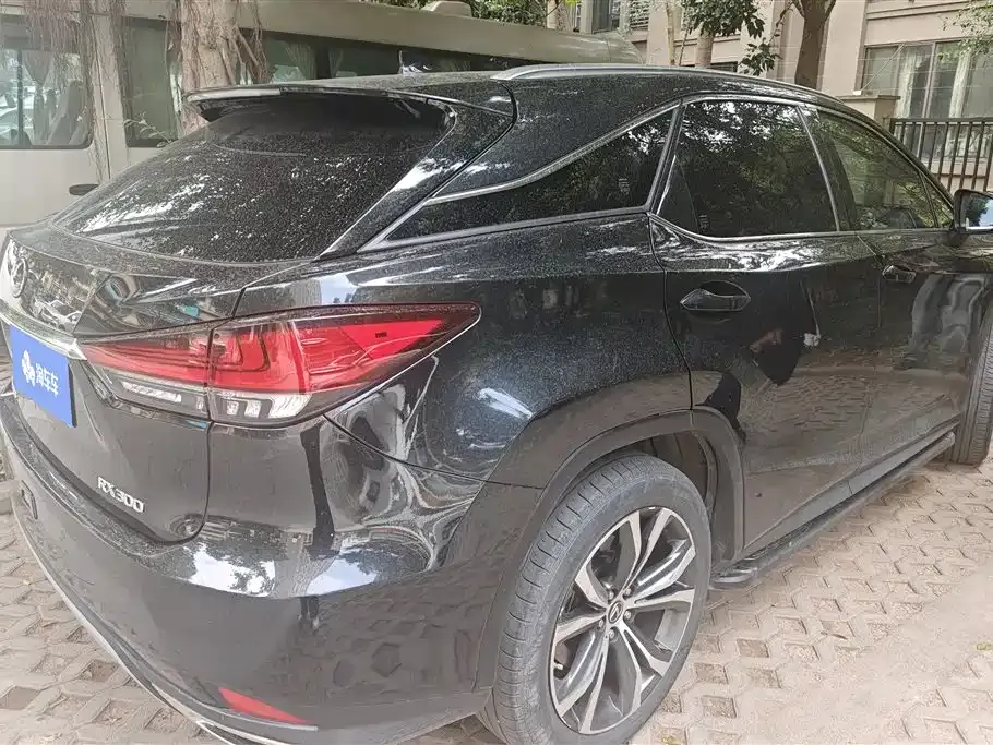 Lexus RX — фото 10