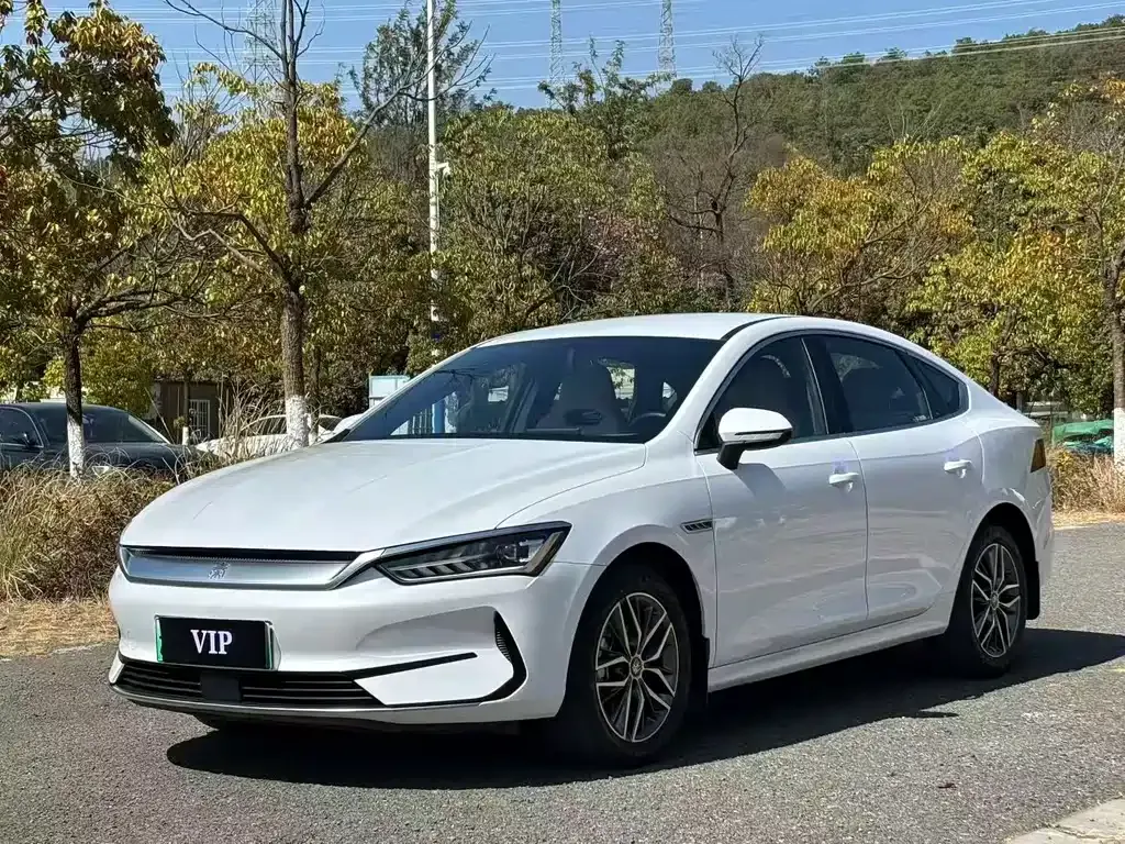 BYD Qin PLUS — фото 1