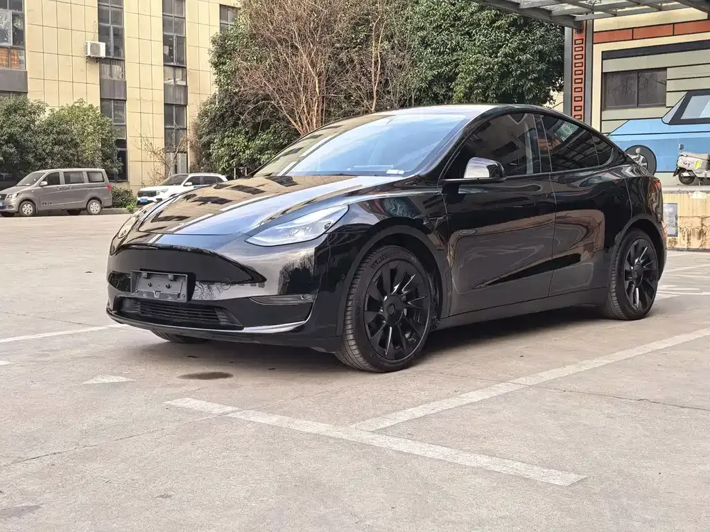 Tesla Model Y — фото 1